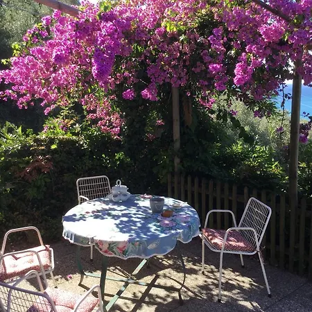 Del Laghetto Cavi di Lavagna