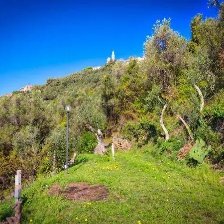 Del Laghetto Cavi di Lavagna