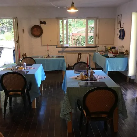 Del Laghetto * Cavi di Lavagna