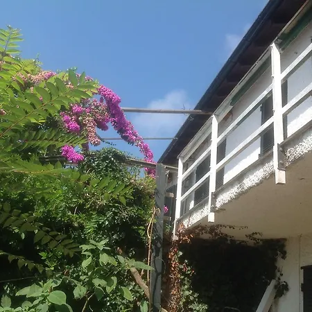 Del Laghetto *
