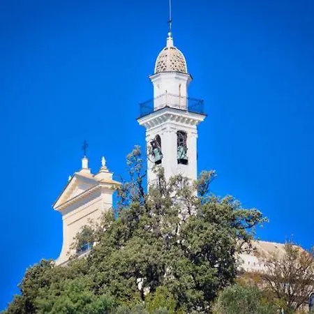 Del Laghetto Cavi di Lavagna